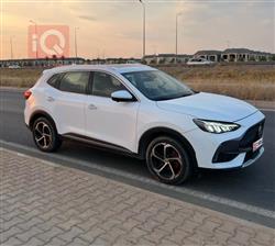 MG HS